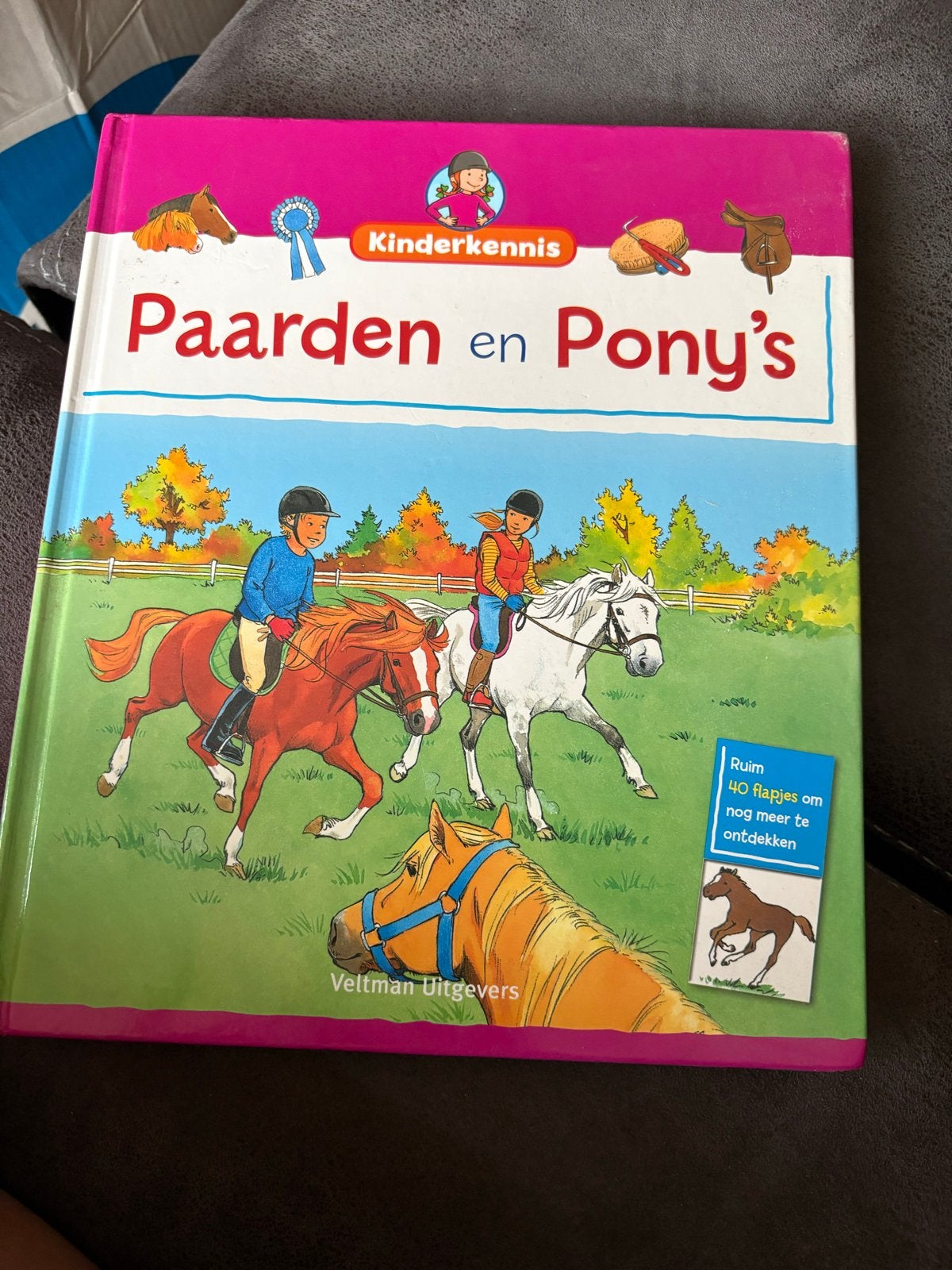 Kinderkennis Boek Paarden en Pony's met 40 Flapjes, Ophalen, Zo goed als nieuw, Non-fictie