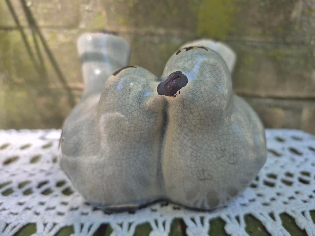 2 vogeltjes, Ophalen of Verzenden, Zo goed als nieuw, Dier