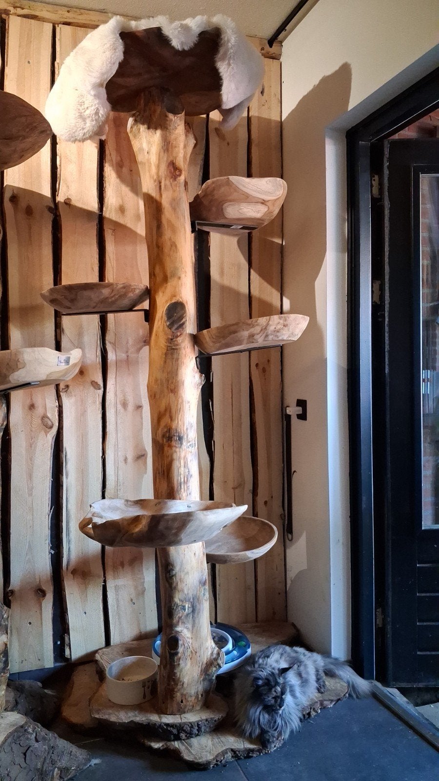 Natuurhouten krabpalen te koop!, Dieren en Toebehoren, Krabmeubelen, Ophalen of Verzenden, Krabpaal