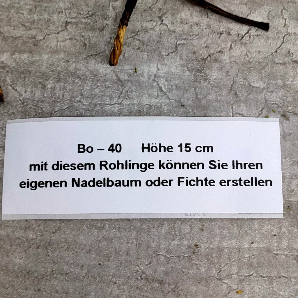 modeltrein Bo – 40  Zelfbouwboom hoogte +/- 15 cm, Overige merken, Gelijkstroom, Natuur, Nieuw