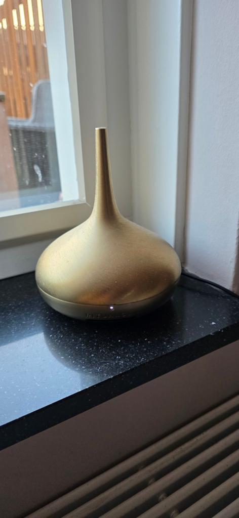Rituals Genie 2.0 Geurdiffuser Goud, Huis en Inrichting, Woonaccessoires | Overige, Ophalen of Verzenden, Zo goed als nieuw, Goud