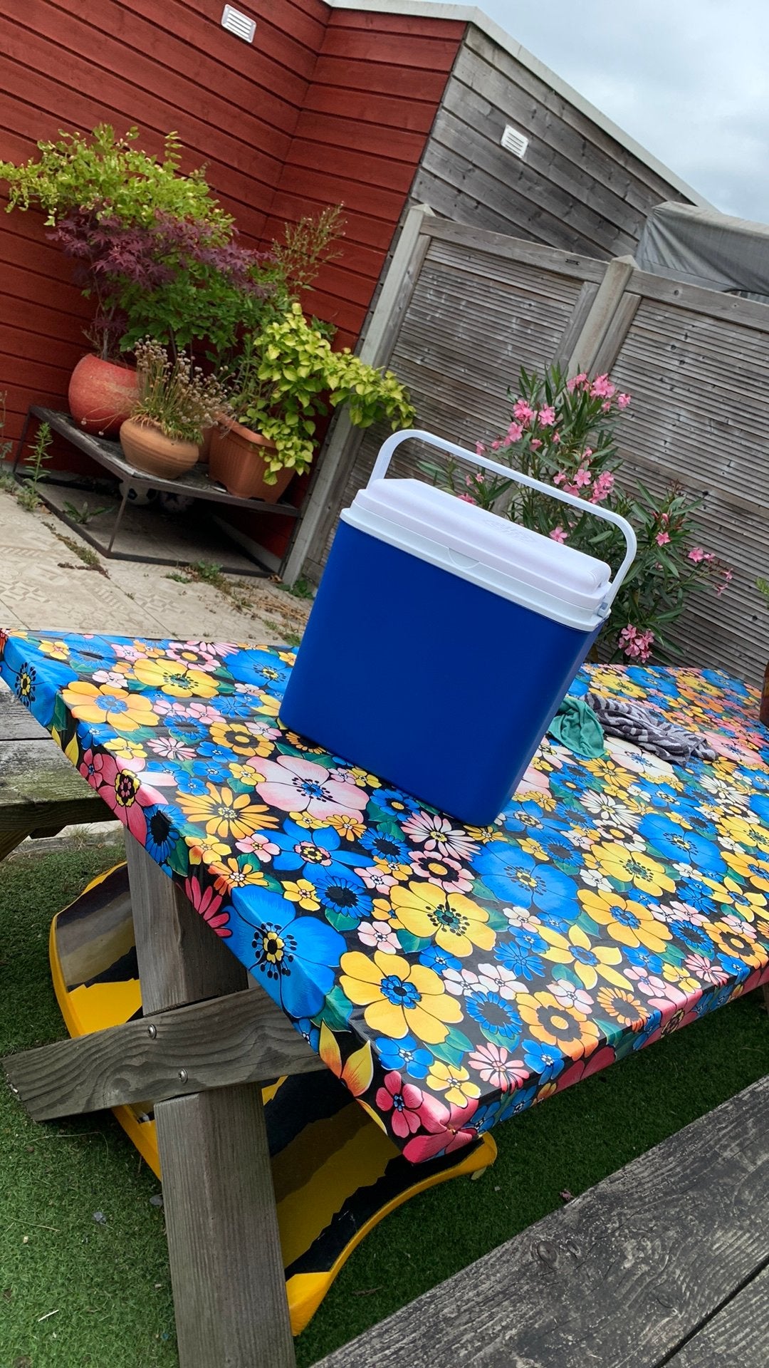 Koel box voor de camping, Ophalen, Zo goed als nieuw, Rechthoekig, Overige materialen