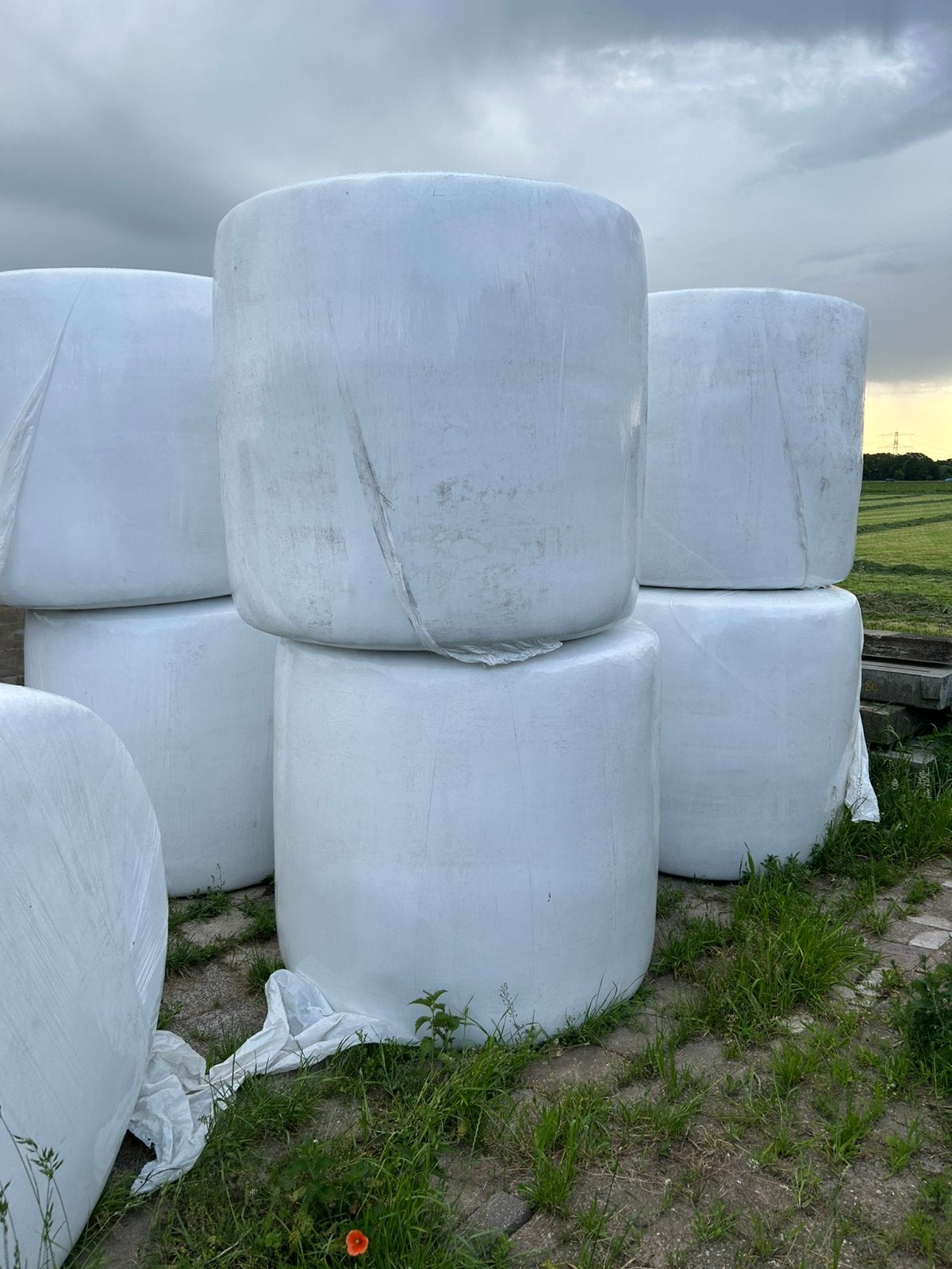 Balen hooi/kuilvoer, Dieren en Toebehoren, Ophalen of Verzenden