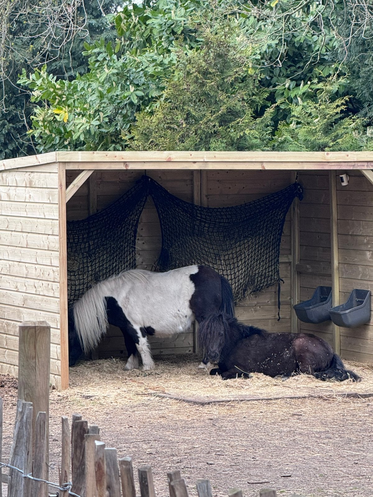 Schuilstal 318x208x196, Dieren en Toebehoren, Stalling en Weidegang, Weidegang, 2 of 3 paarden of pony's