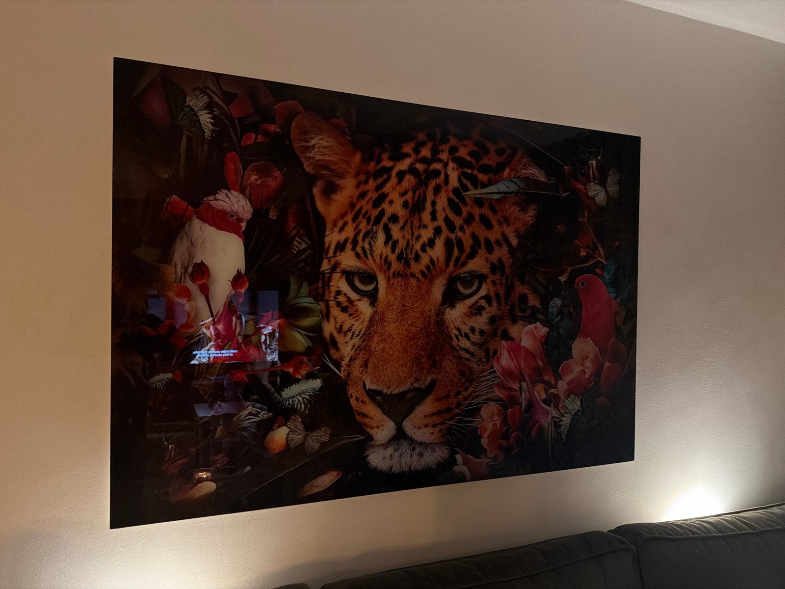 Groot plexiglas schilderij - Luipaard en tropische vogels, Ophalen of Verzenden, Kunststof, Achter glas, Dieren