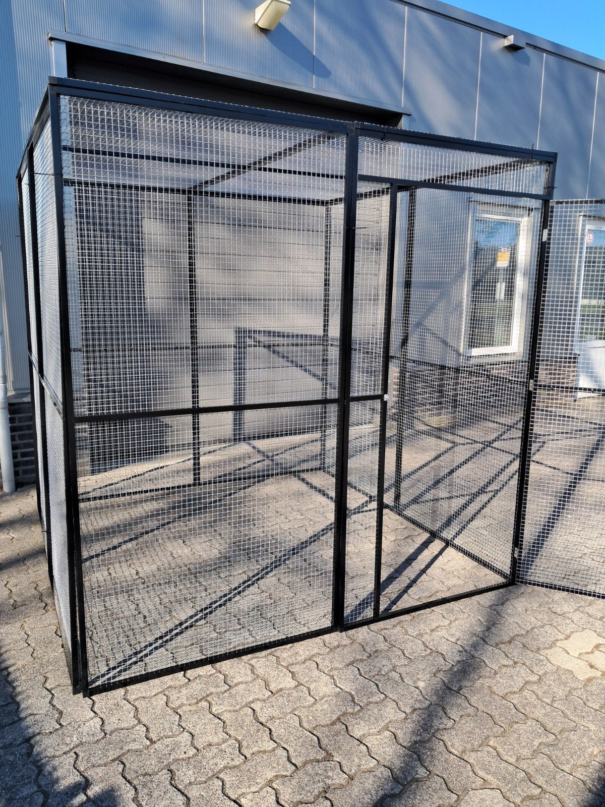 Nieuwe Kattenren te koop, Dieren en Toebehoren, Ophalen, Nieuw