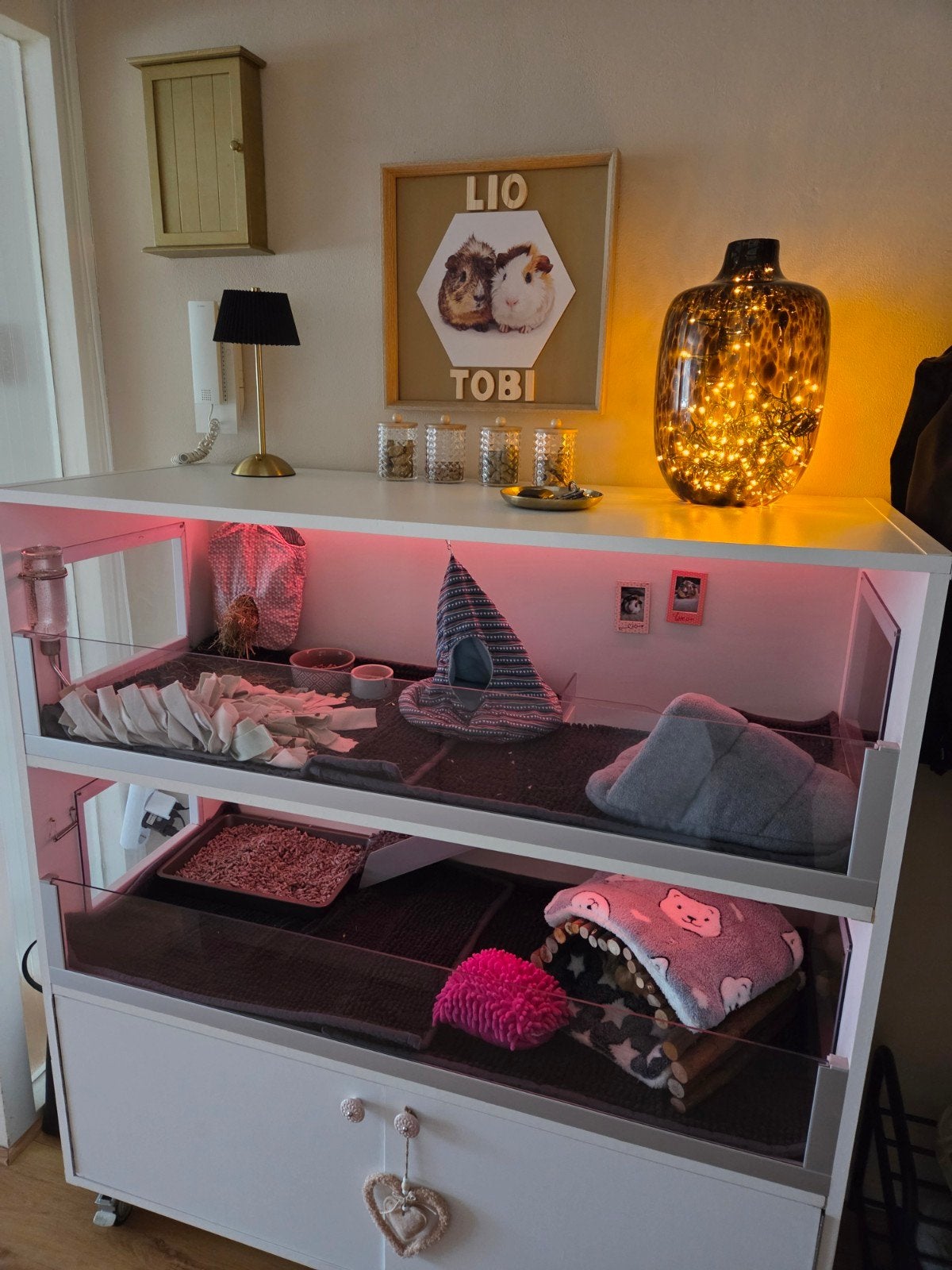 Cavia hok / flat, Dieren en Toebehoren, Knaagdieren en Konijnen | Hokken en Kooien, Ophalen, 90 cm of meer, Hok, Cavia