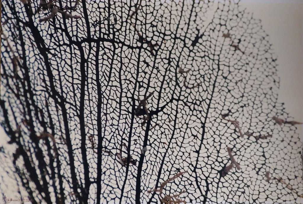 kunst foto kunstenaar Ab Wagenvoort gesigneerd, Ophalen of Verzenden