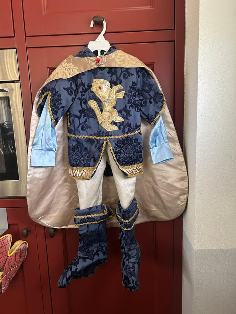 Efteling ridder outfit jongen 4 - 5 jaar oud, Ophalen of Verzenden, Gebruikt, Kleding