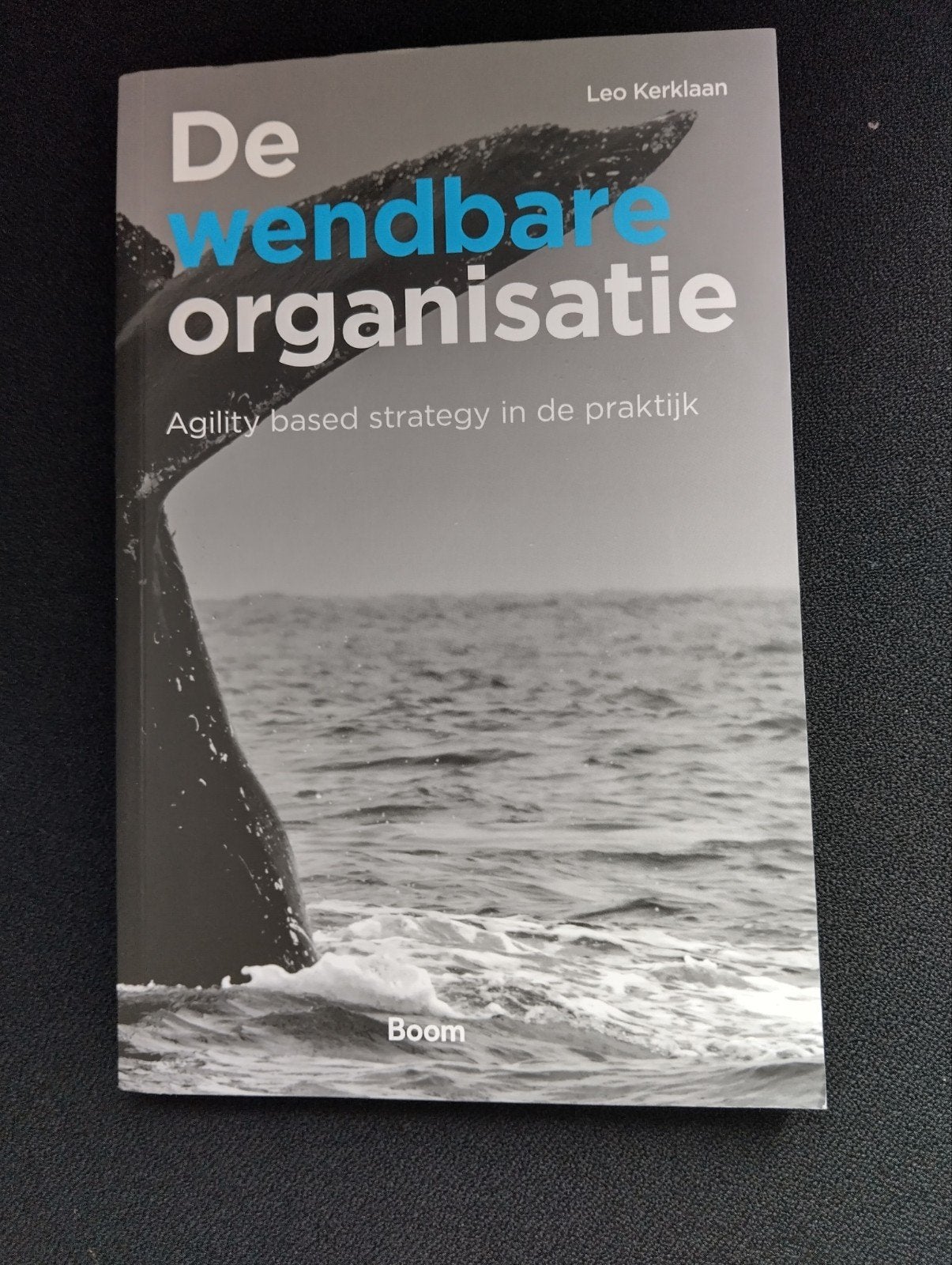 De Wendbare Organisatie, Boeken, Ophalen, Zo goed als nieuw, Management, Leo Kerklaan