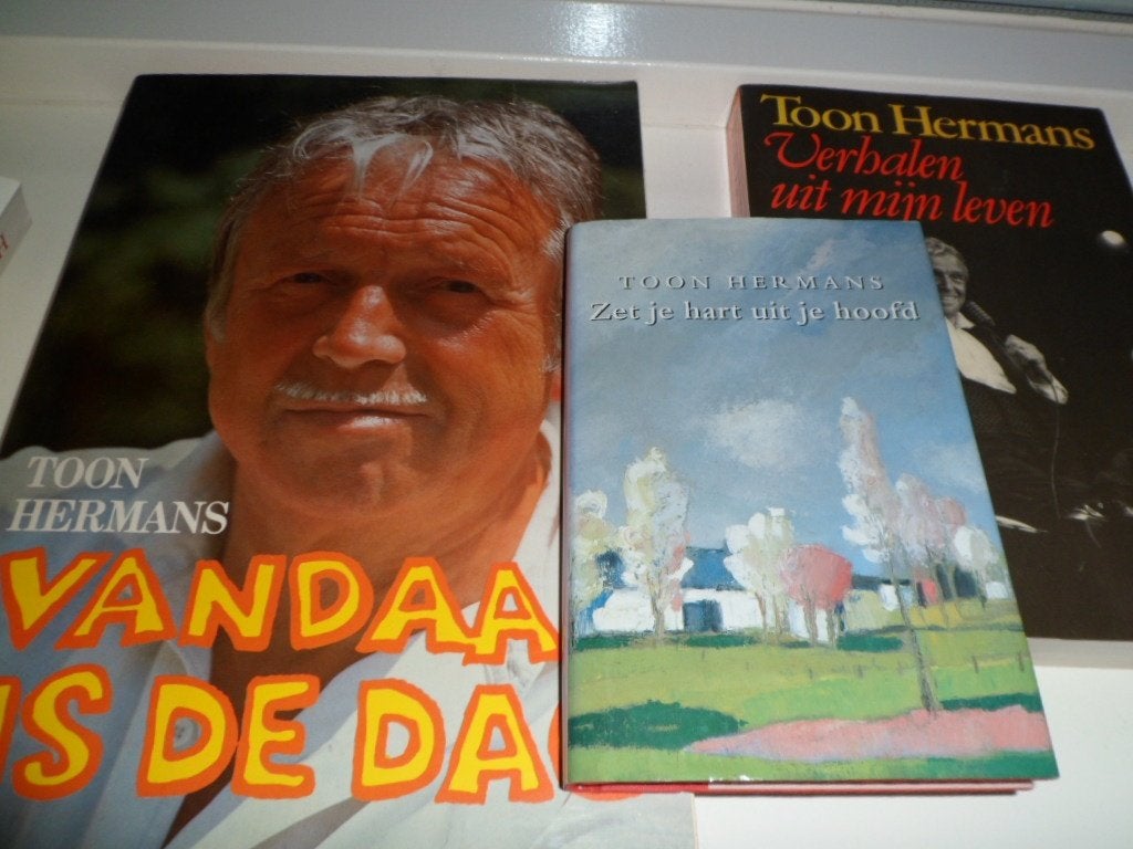 Vandaag is de dag - Toon Hermans, Boeken, Ophalen of Verzenden, Zo goed als nieuw, Toon Hermans