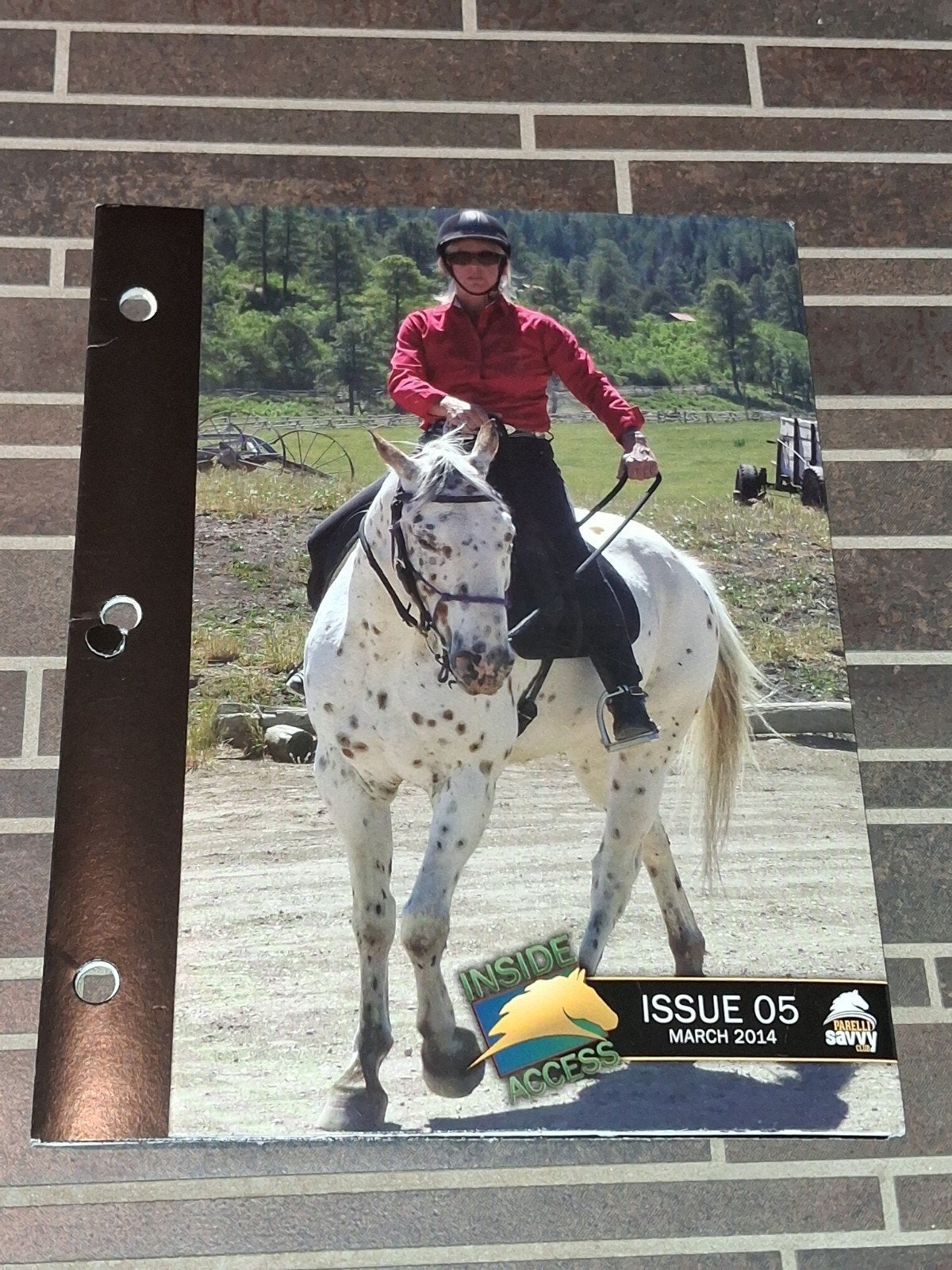 parelli savvy club dvd nr 5 maart 2014, Boeken, Dieren en Huisdieren, Ophalen of Verzenden, Zo goed als nieuw, Katten