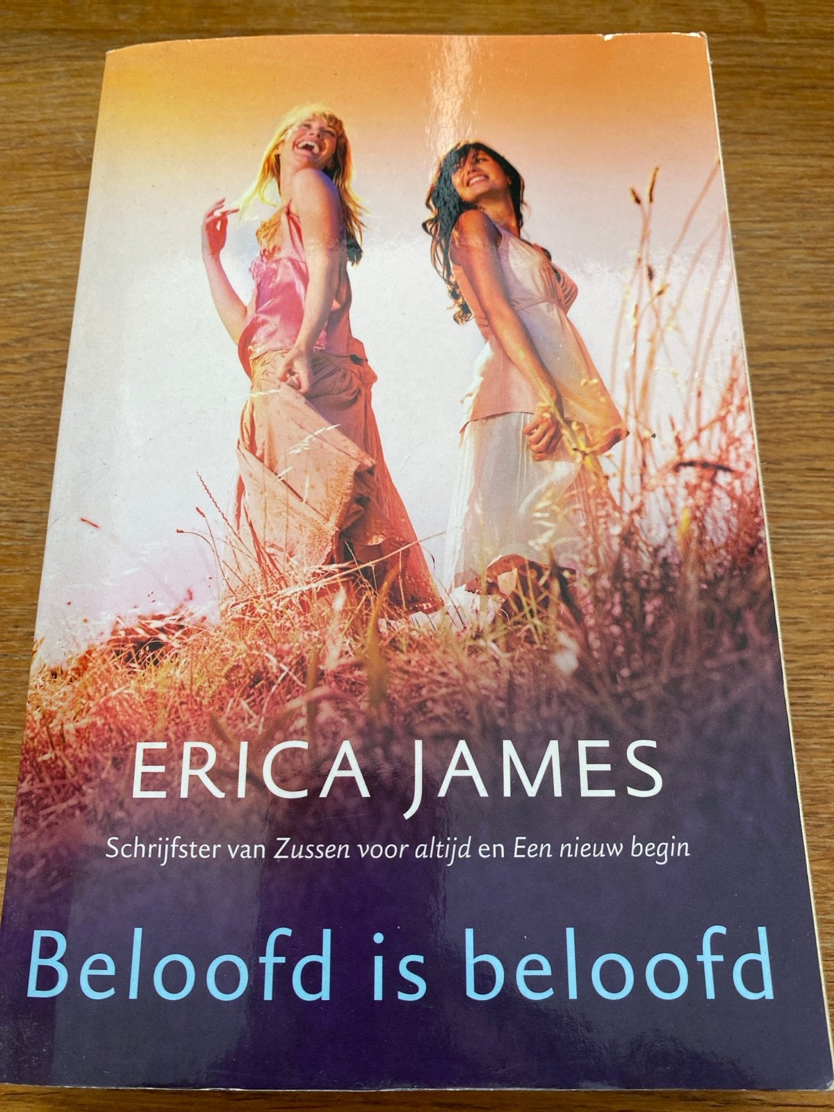 Erica James - Beloofd is beloofd (roman), Ophalen of Verzenden, Zo goed als nieuw