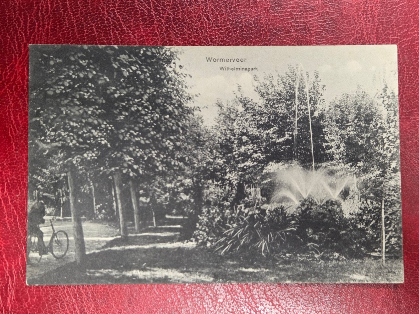 Wormerveer bij Zaandam Wilhelminapark, Verzenden, Voor 1920, Noord-Holland