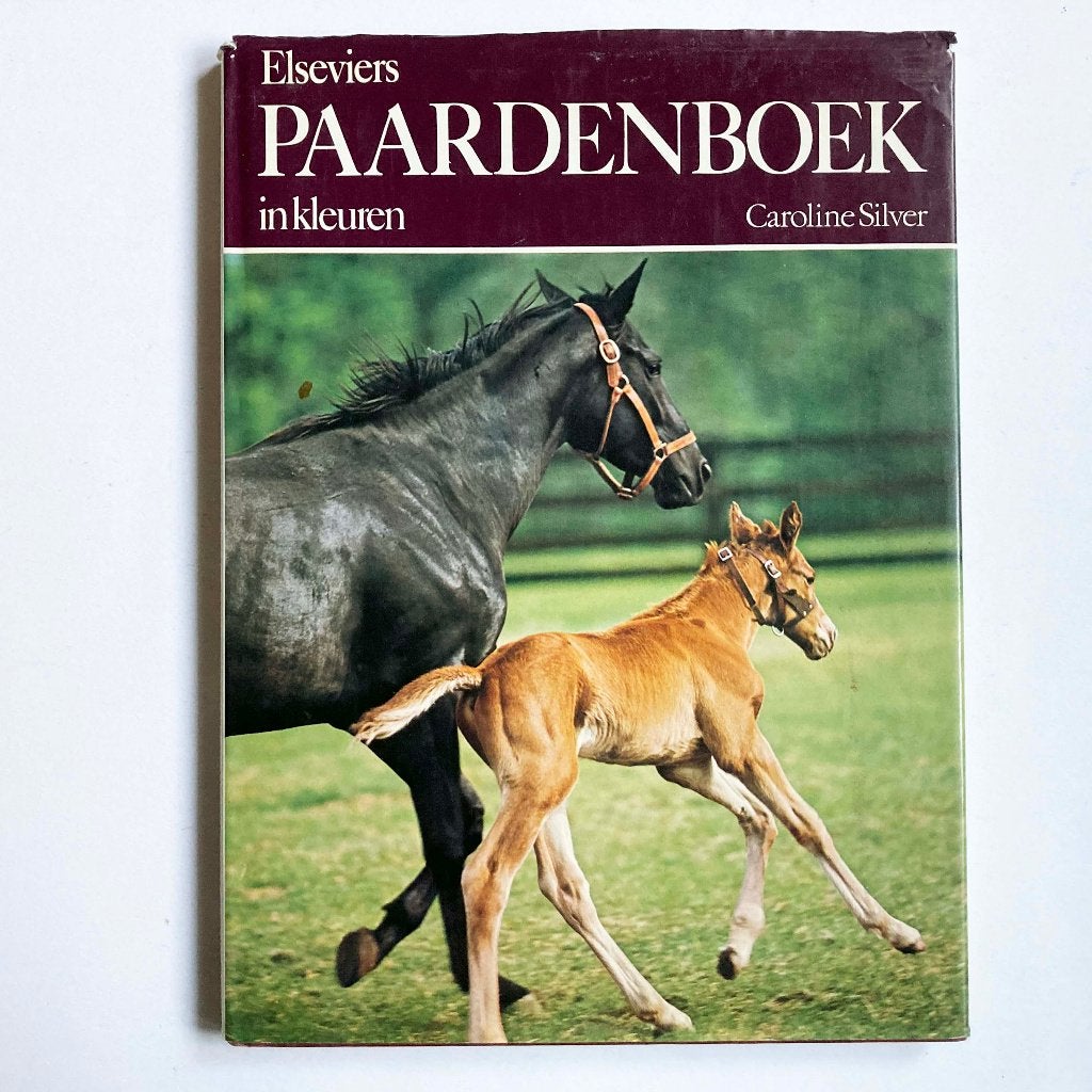 Caroline Silver : Elseviers Paardenboek in kleuren, Boeken, Dieren en Huisdieren, Gelezen, Caroline Silver, Ophalen of Verzenden