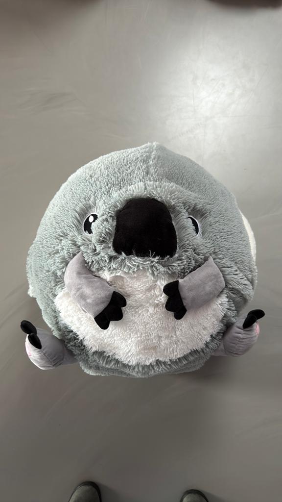 Grote skippybal knuffel, Ophalen, Zo goed als nieuw, Overige typen