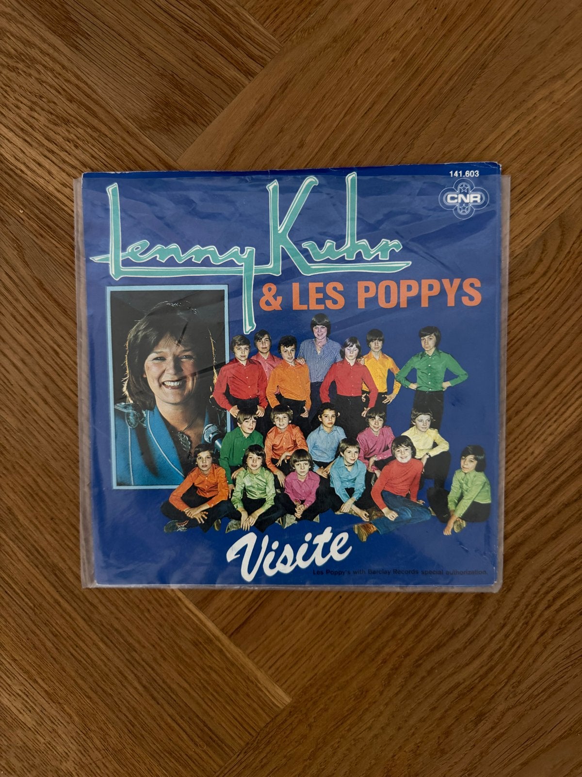 Lenny Kuhr & Les Poppys - Visite (Single), Cd's en Dvd's, Ophalen, Gebruikt