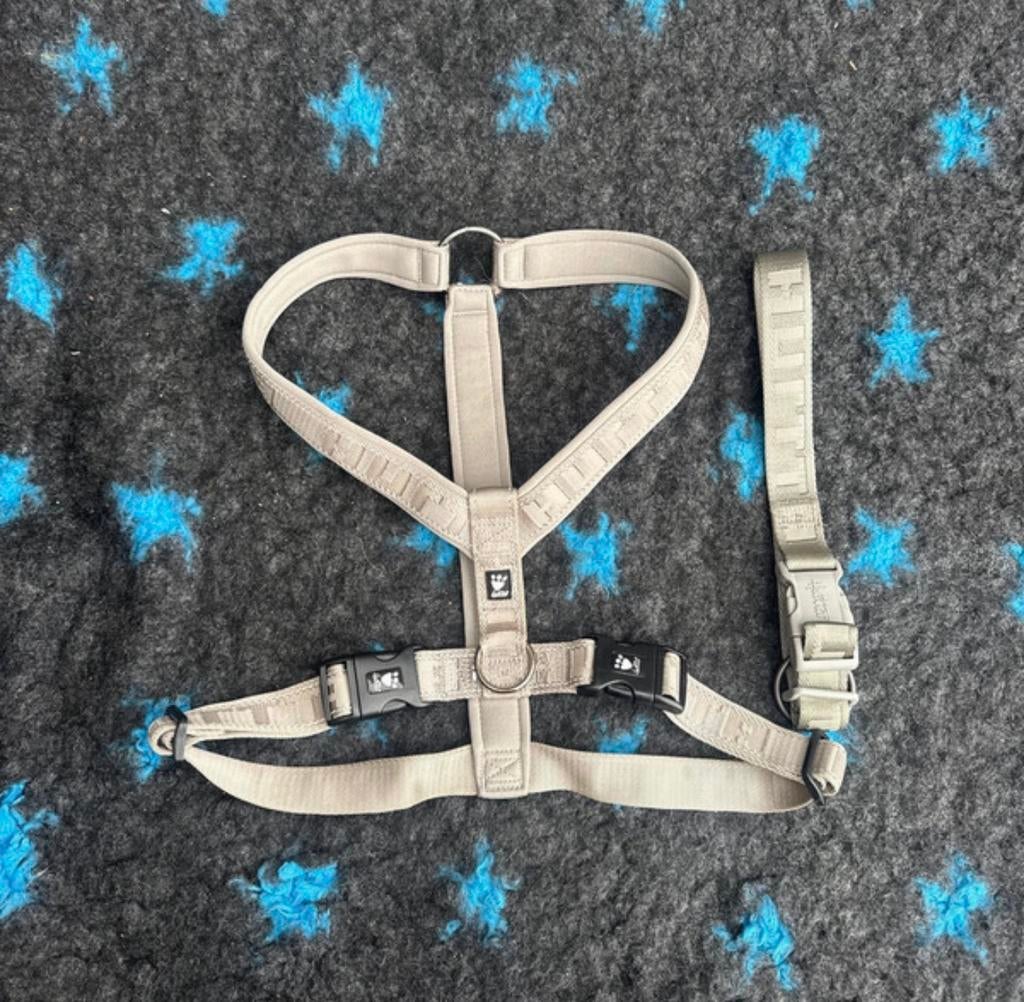 Hurtta casual Y-tuig + halsband grijs, Ophalen of Verzenden, Zo goed als nieuw