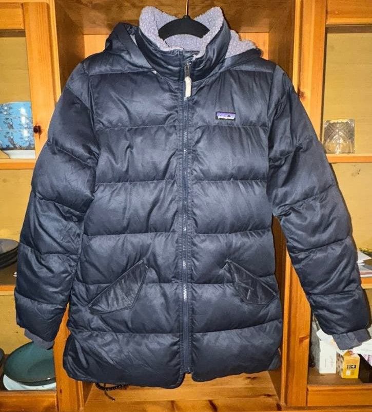 Patagonia Worn Wear Down Parka, Ophalen of Verzenden, Gedragen, Maat 46/48 (XL) of groter, Blauw