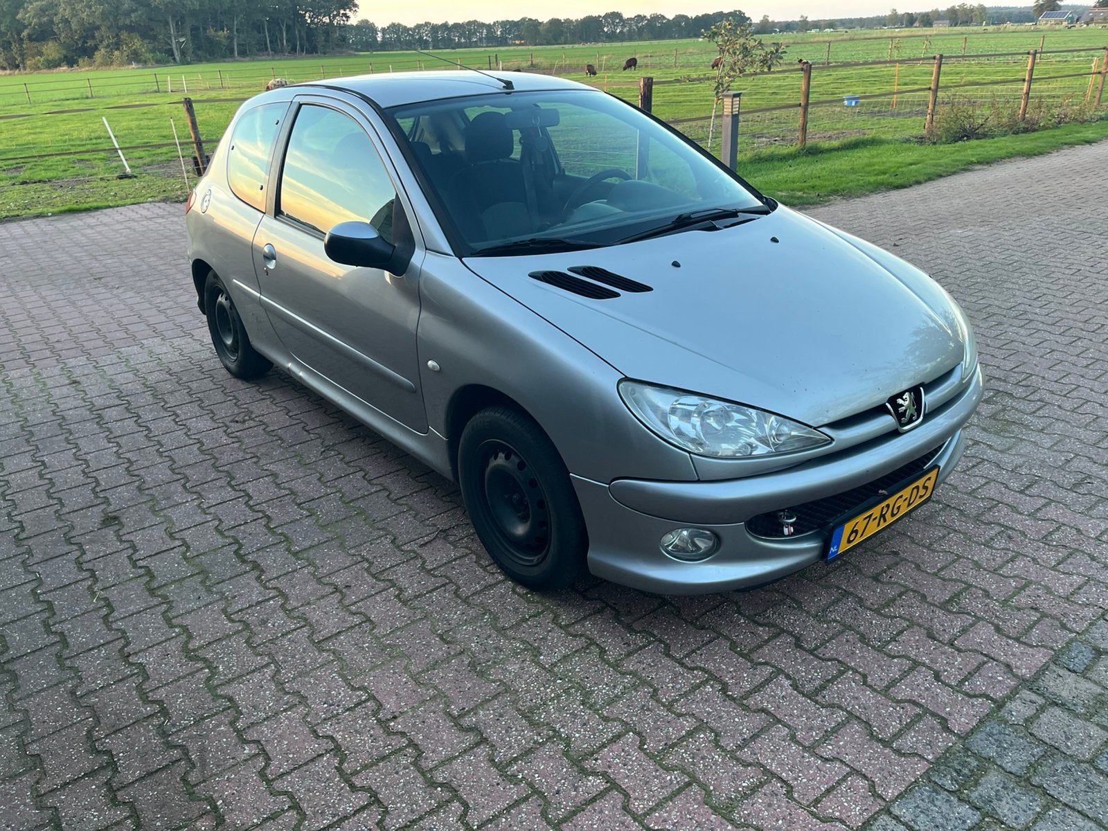 Peugeot 206 1.4 X-line 3D 2005 Grijs, Voorwielaandrijving, 31 €/maand, 4 cilinders, Origineel Nederlands