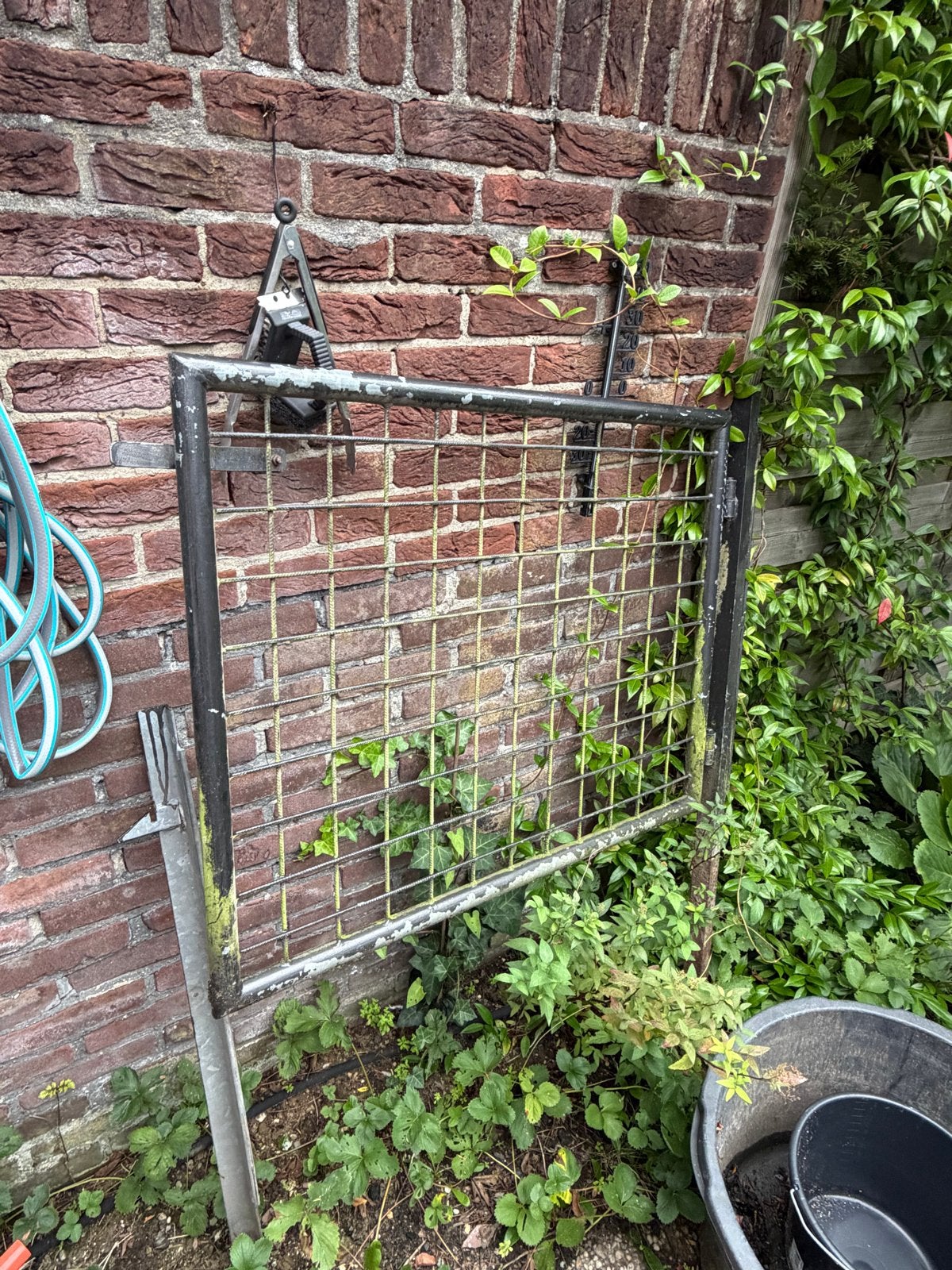Gebruikt tuinhek van ijzer, Tuin en Terras, Ophalen of Verzenden, Gebruikt, IJzer, Tuinhek