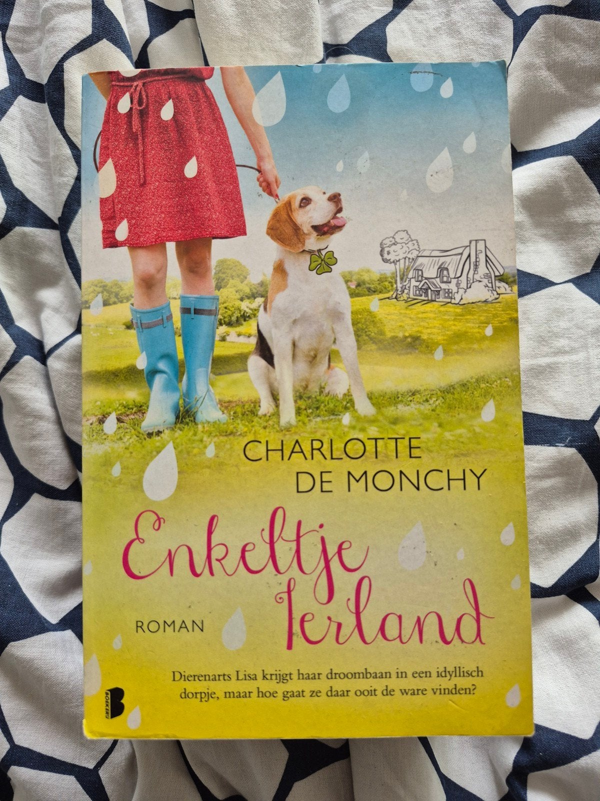 Enkeltje Ierland - Charlotte de Monchy Roman, Boeken, Ophalen of Verzenden, Zo goed als nieuw, Charlotte de Monchy, Nederland