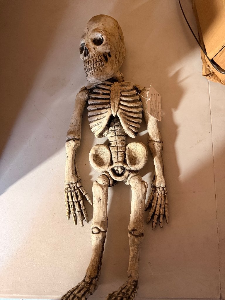 TE KOOP RUBBER SKELET  HOOFD KLEIN CIRCA 50CM, Versiering, Halloween of Griezel, Nieuw, NVT