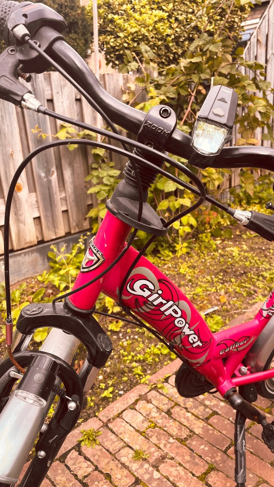 Meisjes fiets, Ophalen, Gebruikt, Terugtraprem, 20 inch of meer