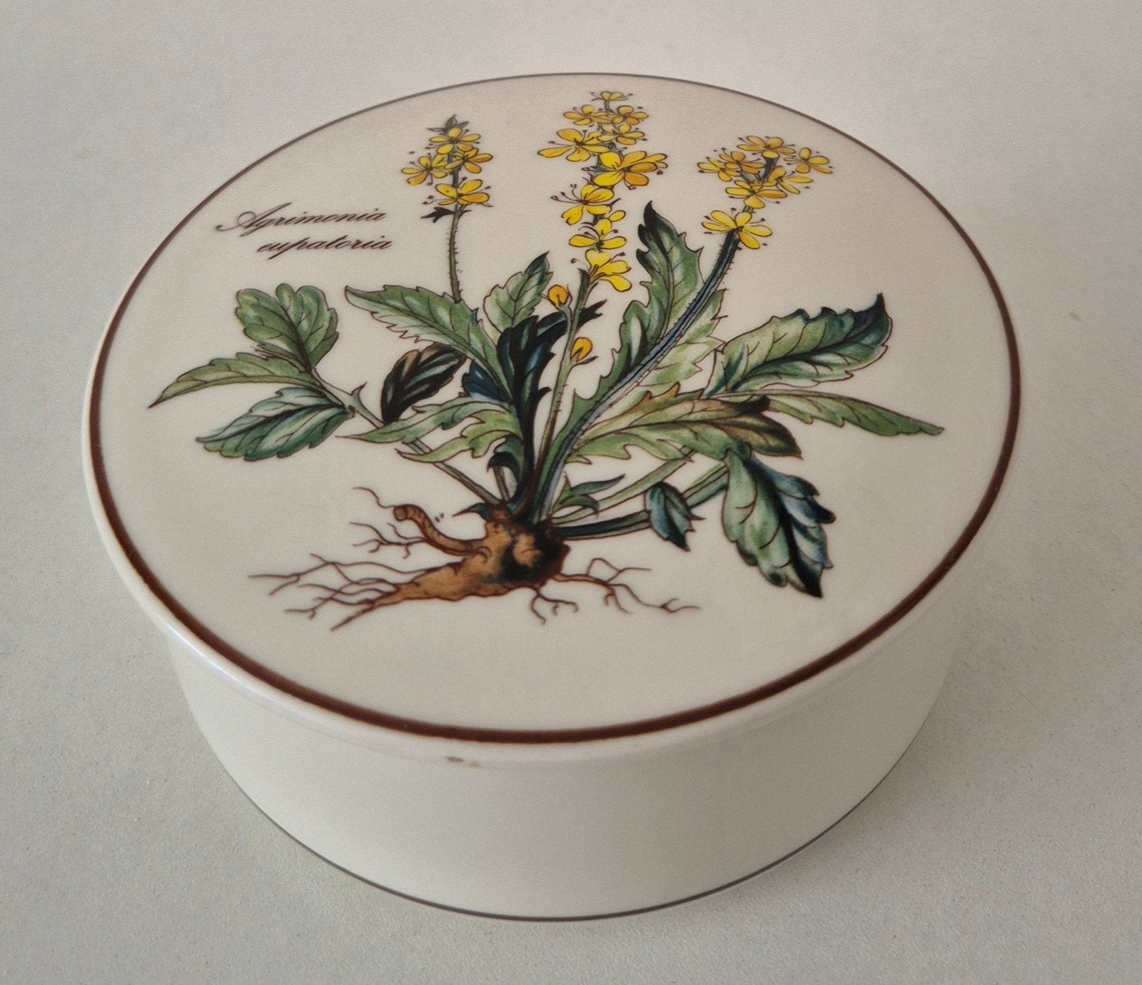 Villeroy&Boch Botanica, Ophalen of Verzenden, Zo goed als nieuw, Aardewerk