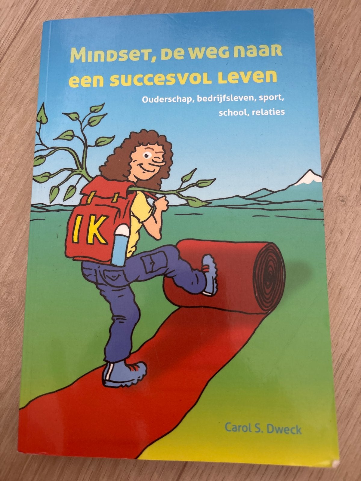 Mindset, de weg naar een succesvol leven - Carol S. Dweck, Verzenden, Zo goed als nieuw, Overige onderwerpen
