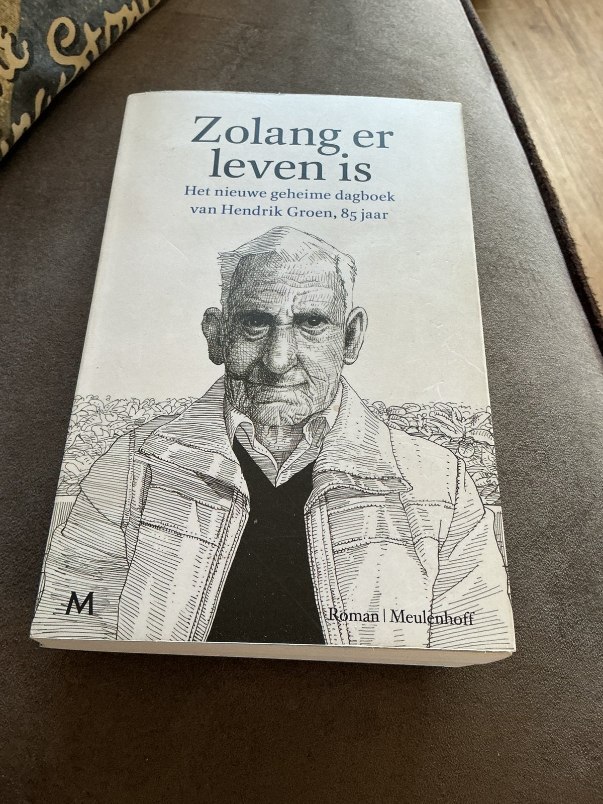 Hendrik Groen., Ophalen of Verzenden, Zo goed als nieuw, Verhalen