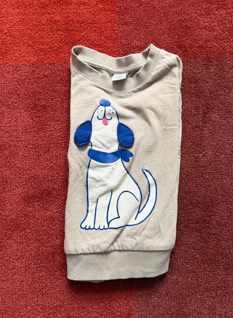 Kleuterkleding| 3x shirts (Coolclub, Lindex, Mikoyumi), Ophalen of Verzenden, Zo goed als nieuw, Maat 110