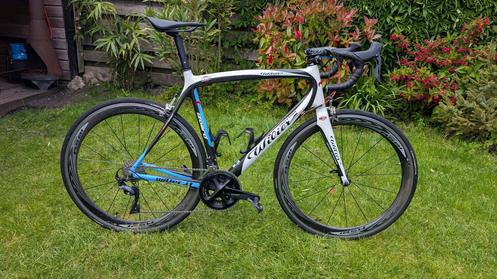 Wilier Izoard Carbon 57 cm – 105 2x11 – RS81 – GP5000 – Pion, Overige merken, 28 inch, Gebruikt, Carbon
