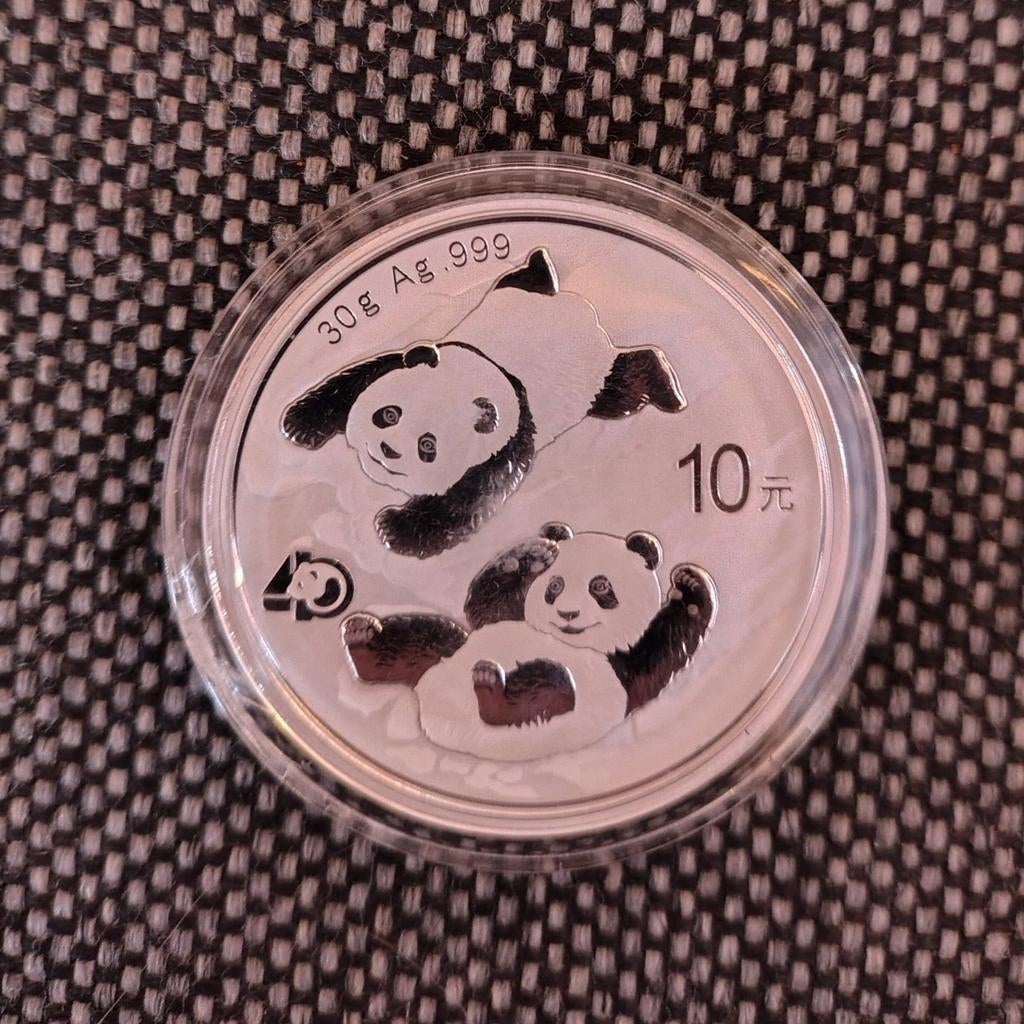 Chinese Panda 2022 30 gram zilver 10 Yuan, Ophalen of Verzenden, Oost-Azië, Zilver