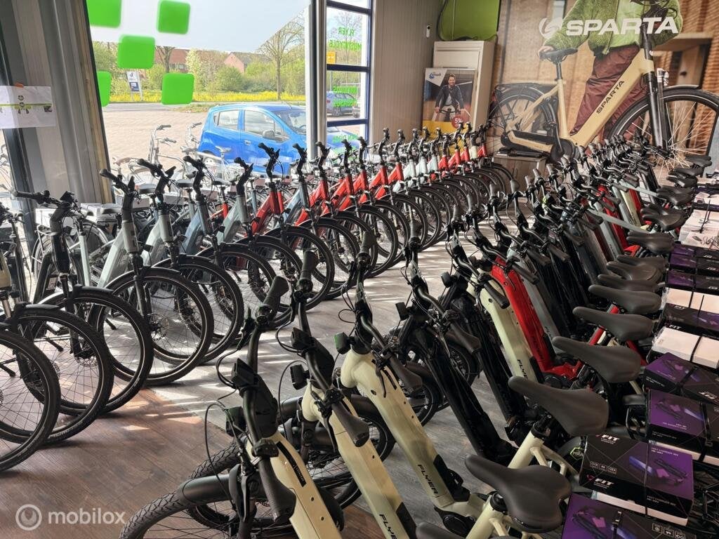 Flyer Gotour 7.23, Nieuw, Overige merken