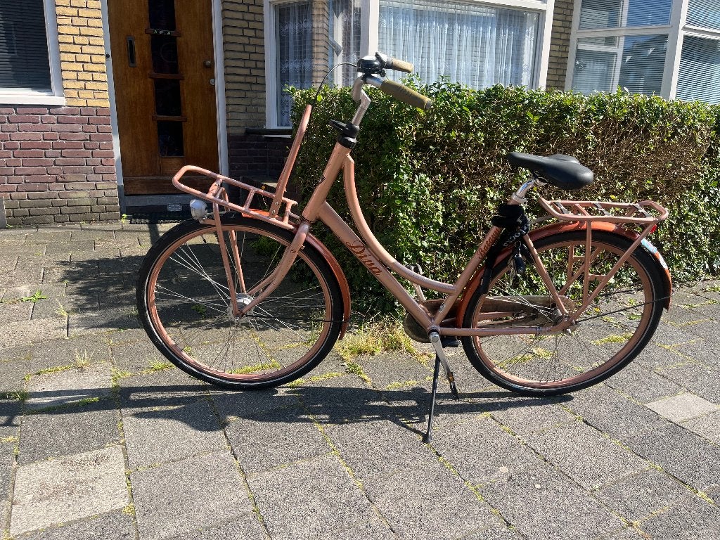 Damesfiets Batavus, Ophalen, Terugtraprem, Versnellingen, Batavus