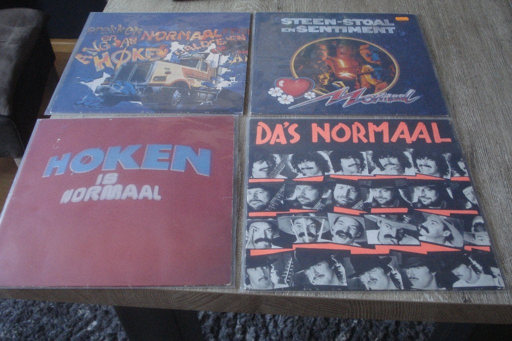 NORMAAL OP L.P.  O.A   HOKEN IS  NORMAAL, Ophalen of Verzenden, Zo goed als nieuw, Overige typen, Nederlandstalig