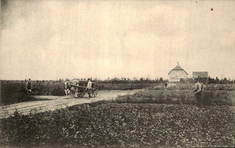 Hilvarenbeek - Lage en Hooge Mierde - Arendonck - Kweektuin, Verzamelen, Ansichtkaarten | Nederland, Ophalen of Verzenden, Voor 1920