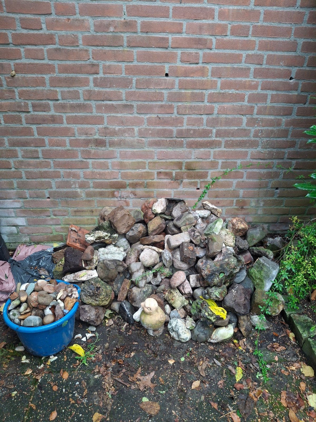 Gratis natuurstenen / sierkeien / tuinstenen – diverse maten, Tuin en Terras, Ophalen, Gebruikt