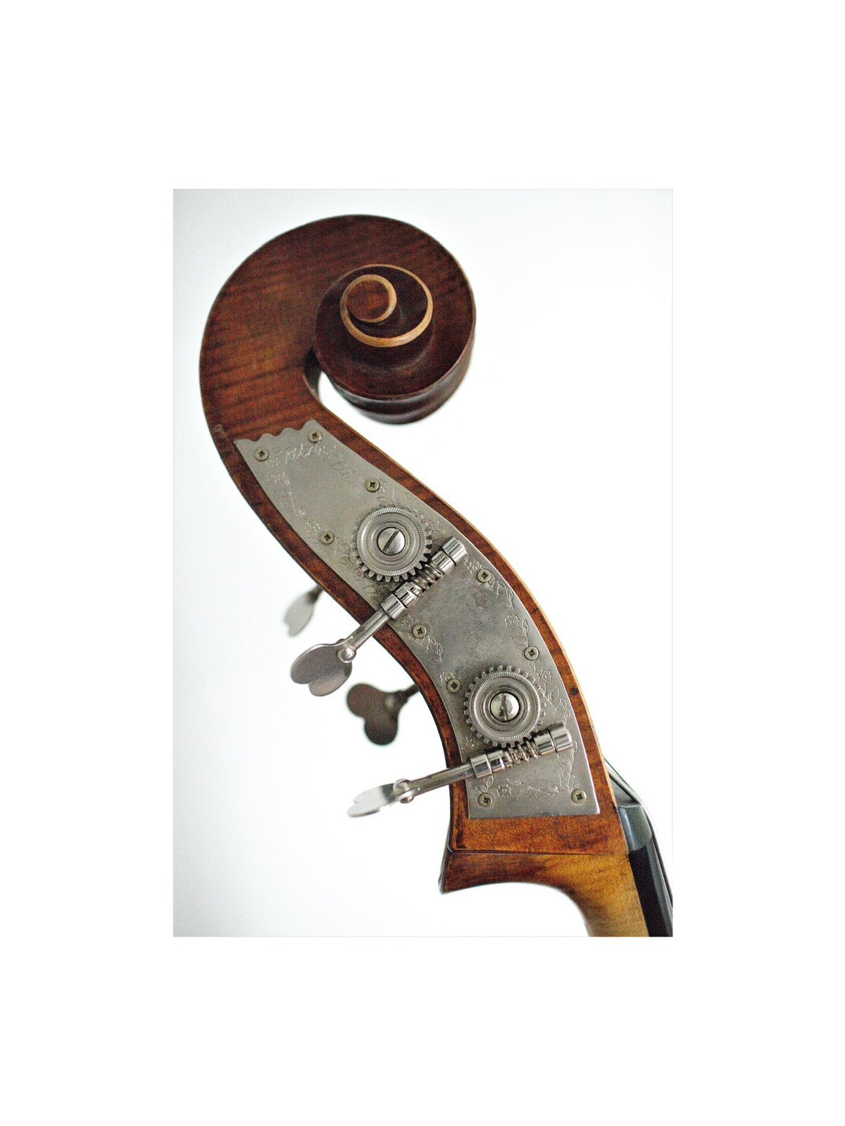 Contrabasles Voor Nieuwelingen, Privéles, Tokkelinstrumenten