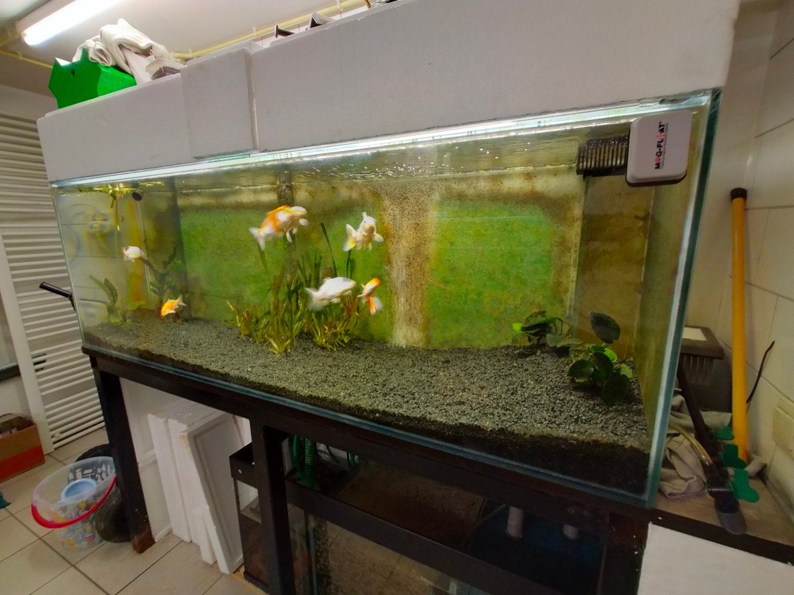Aquarium , groot aquarium , aquarium 600L, Dieren en Toebehoren, Vissen | Aquaria en Toebehoren, Ophalen of Verzenden, Leeg aquarium