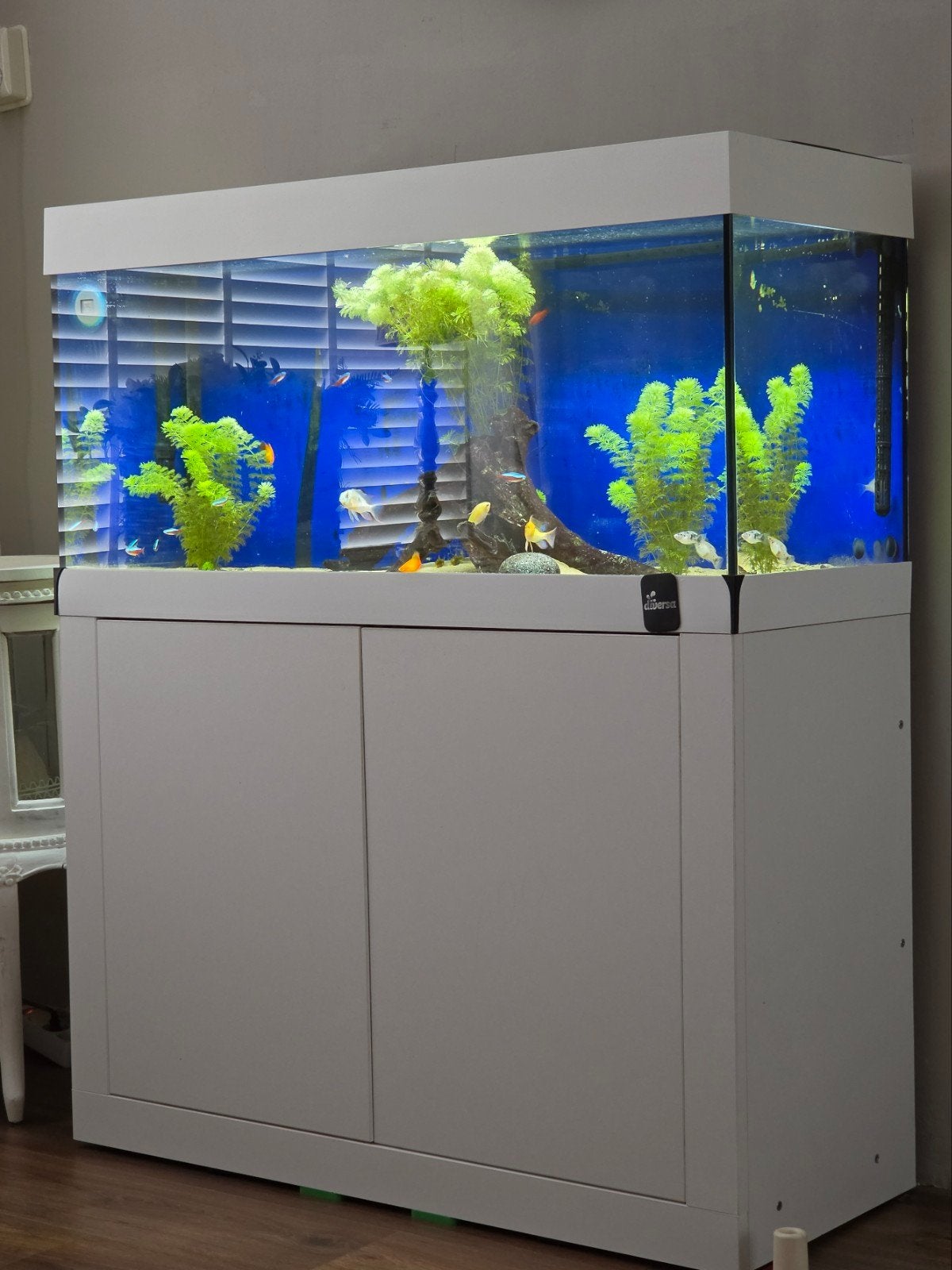 Nette Juwel Rio 180, Dieren en Toebehoren, Vissen | Aquaria en Toebehoren, Ophalen, Zo goed als nieuw, Gevuld zoetwateraquarium