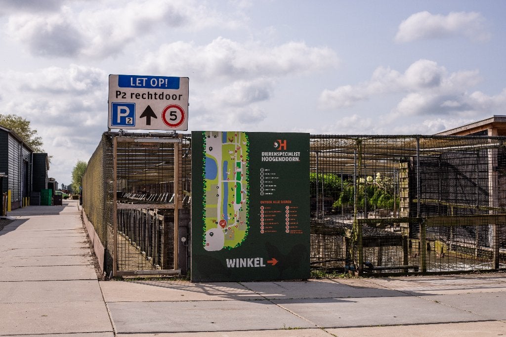 Broedkoppels Afrikaanse Oehoe | Bewezen koppels