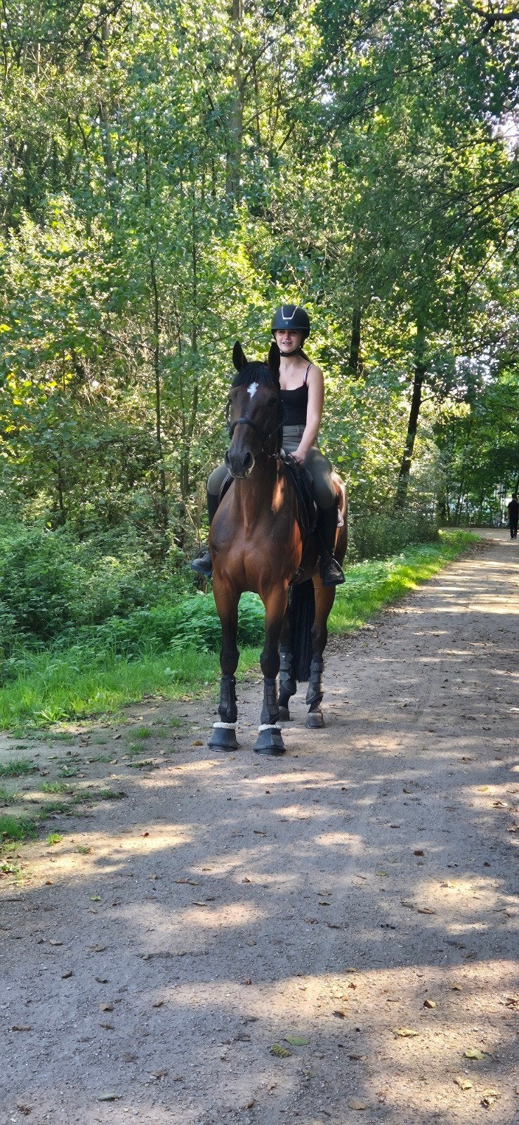 lieve 9 jarige ruin, Dieren en Toebehoren, Ruin, 7 tot 10 jaar, 160 tot 165 cm, Recreatiepaard