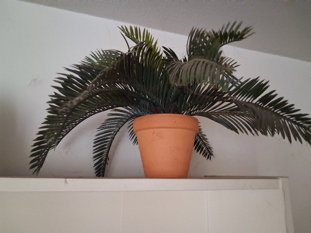 Kunstplant, Groen, 30 cm, Kunstplant, Nieuw