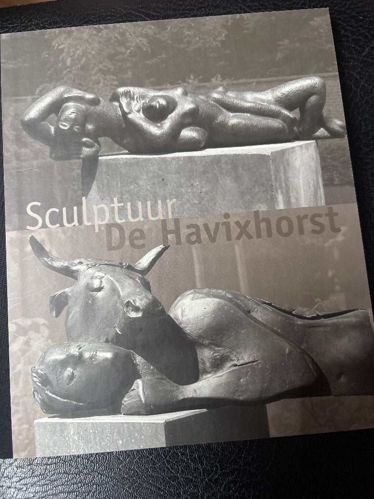 Catalogus kunst, Diverse, Ophalen of Verzenden, Zo goed als nieuw, Schilder- en Tekenkunst