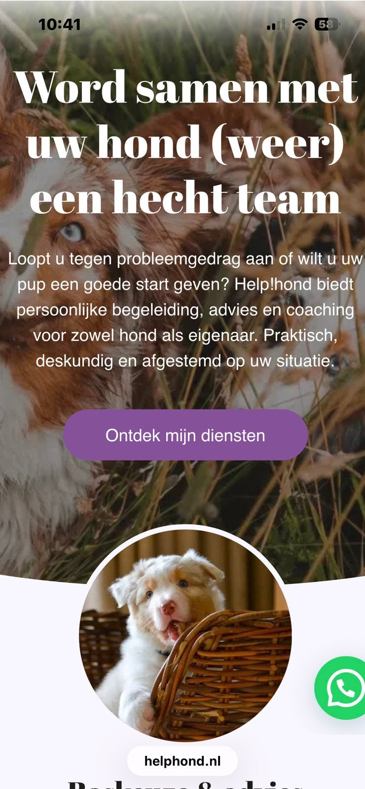 HONDEN  PUPPY trainer /  gedragsdeskundige / coaching, Training of Cursus