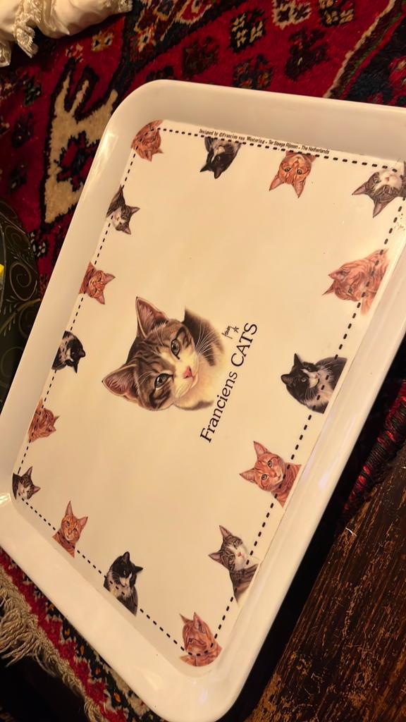 Franciens cats dienblad, Ophalen of Verzenden, Kunststof