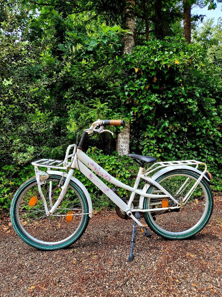 Meisjesfiets Volare 24 inch, Ophalen, Terugtraprem, Versnellingen, Volare