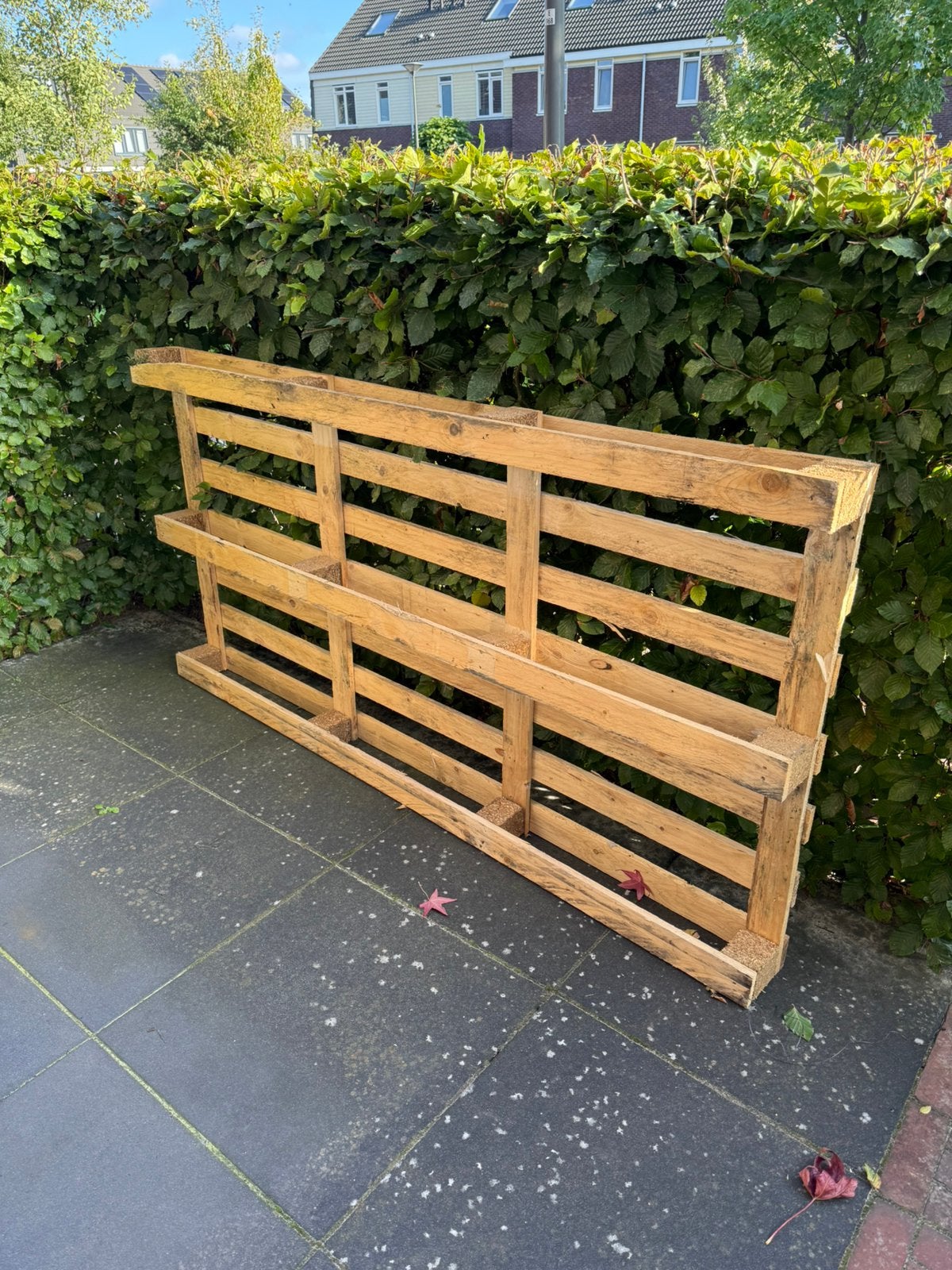Gratis lange houten pallet, Ophalen, Gebruikt, 50 mm of meer, Pallet